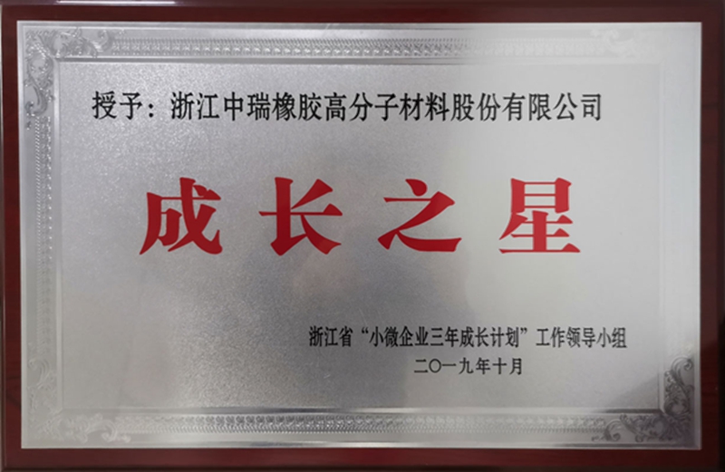 2018-2020浙江省小微企业成长之星