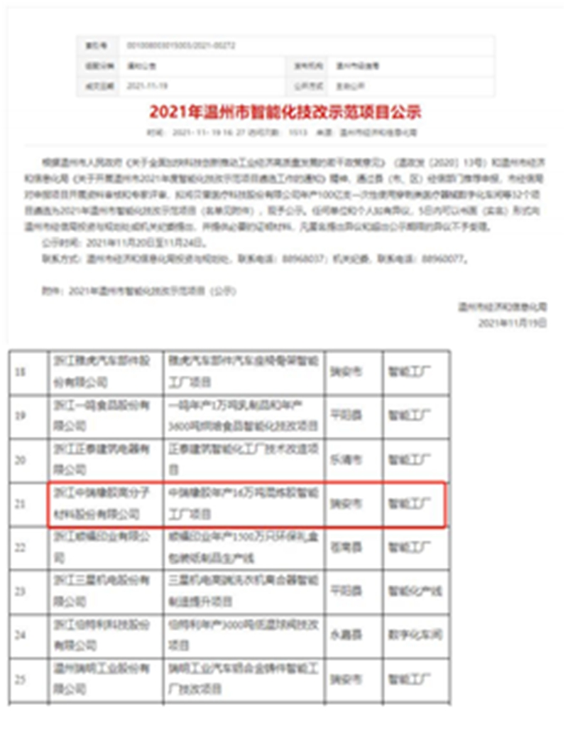 温州市智能化技改示范项目