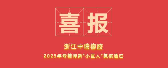 重磅喜报|浙江中瑞橡胶顺利通过2025年国家级专精特新“小巨人”企业复核